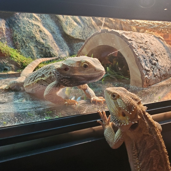 Meet your Posher, Jessica - Picture 9 of 9